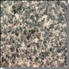 granit; Leopard Skin